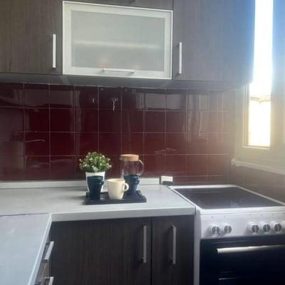 Rental of a comfortable 2-room apartment, 55 m², city center, Belgrade, Serbia